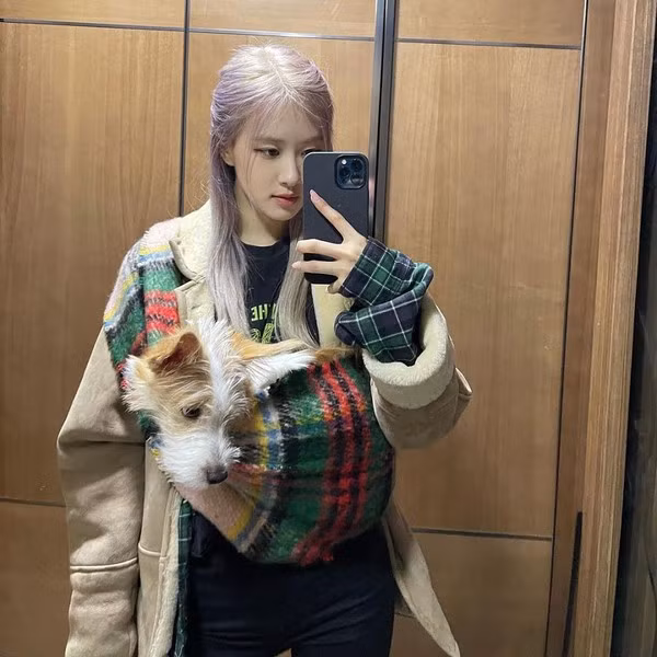 Netizen muốn xỉu khi nhìn vào kho đồ hiệu của chó cưng nhà Rosé: Giàu vậy ai chơi lại ảnh 11