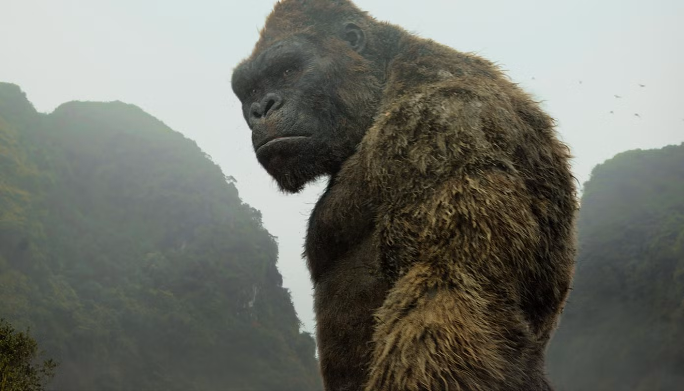 Điểm lại những dấu mốc chói lọi trong lịch sử bầy quái vật khổng lồ Godzilla và Kong ảnh 7
