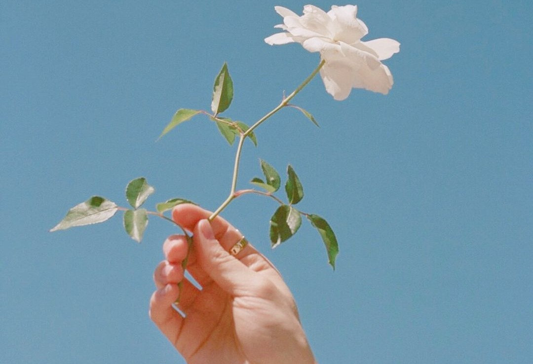 Được khen ai chẳng thích, nhưng cách ứng xử của bạn sau lời khen ấy mới quan trọng ảnh 5