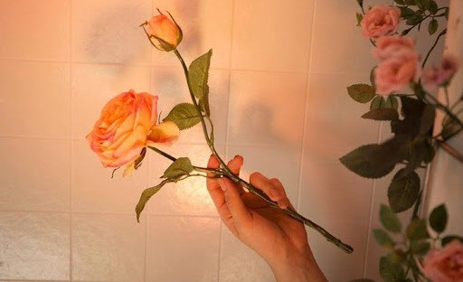 Đời người là hữu hạn, nhưng chúng ta vẫn sống như thể nó kéo dài vô hạn ảnh 5