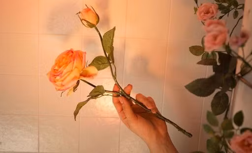 Đời người là hữu hạn, nhưng chúng ta vẫn sống như thể nó kéo dài vô hạn ảnh 5