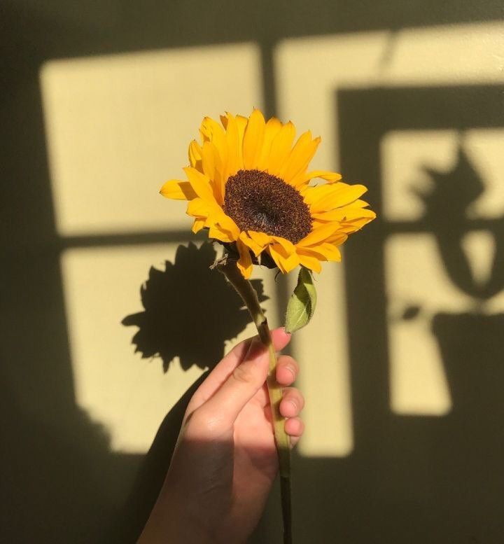 Để "bóng ma" lo lắng không hút cạn năng lượng của bạn, hãy ghi nhớ 9 điều này! ảnh 5