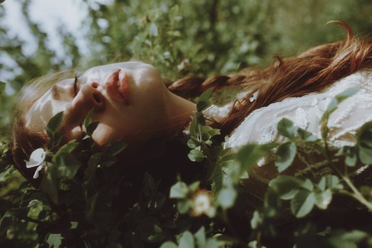 Đời người là hữu hạn, nhưng chúng ta vẫn sống như thể nó kéo dài vô hạn ảnh 1