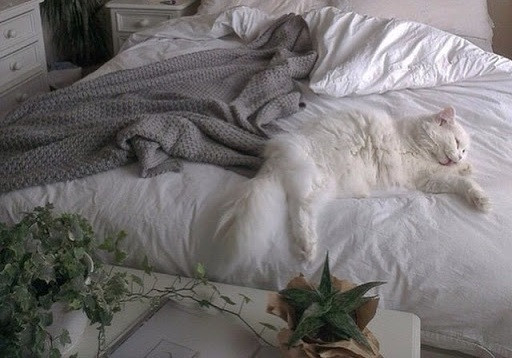 Vì sao bao năm qua bạn không bao giờ là người dẫn đầu, mà chỉ là kẻ "follow"? ảnh 1