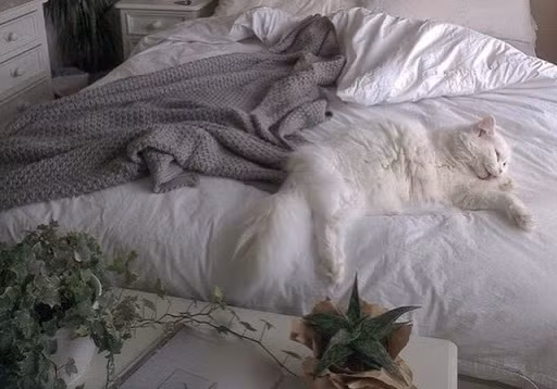 Vì sao bao năm qua bạn không bao giờ là người dẫn đầu, mà chỉ là kẻ "follow"? ảnh 1