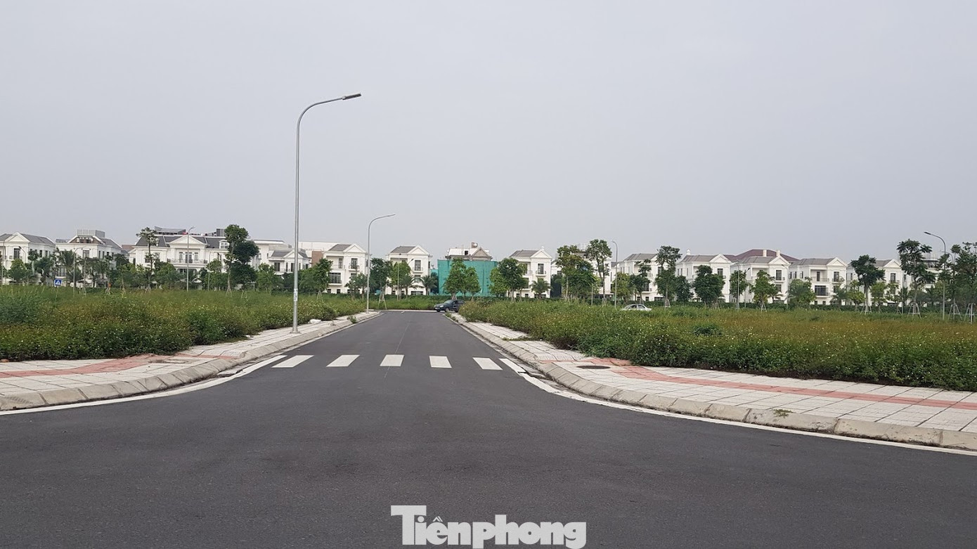 Hà Nội: Lình xình đấu giá khu 'đất vàng' ở Long Biên ảnh 2