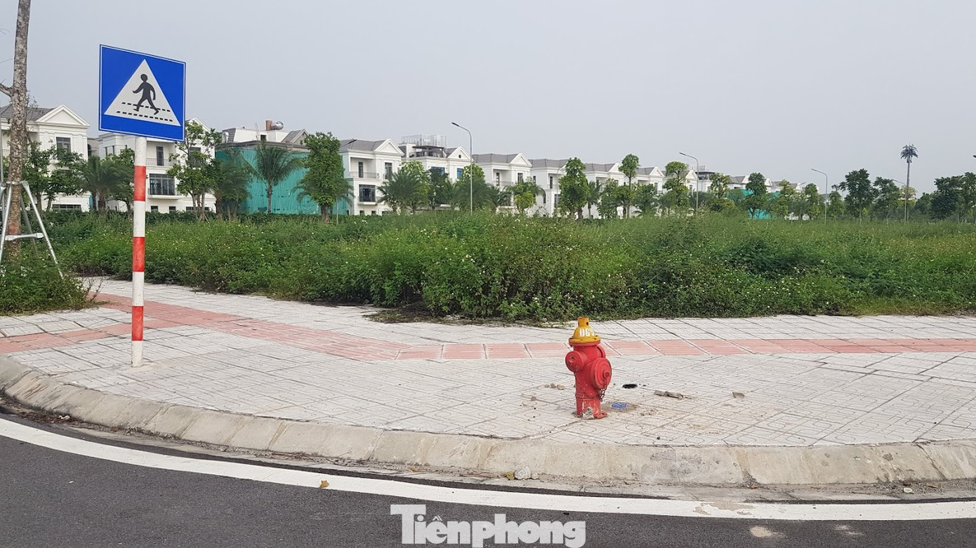 Hà Nội: Lình xình đấu giá khu 'đất vàng' ở Long Biên ảnh 3