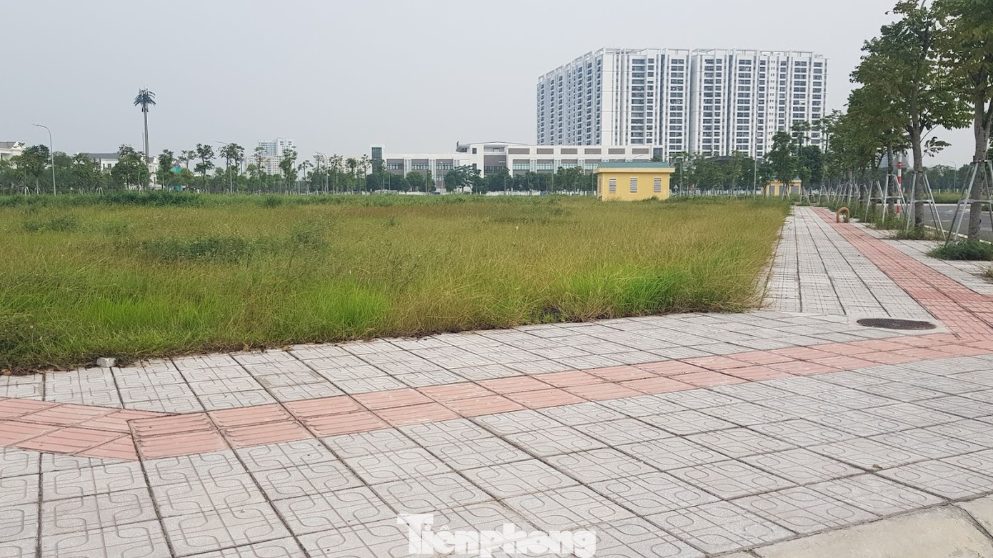 Hà Nội: Lình xình đấu giá khu 'đất vàng' ở Long Biên ảnh 1