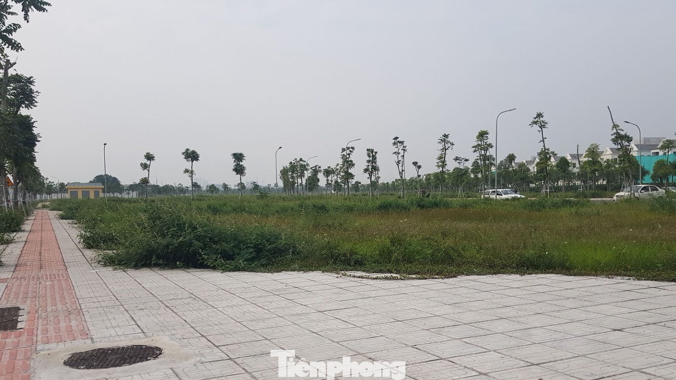 Hà Nội: Lình xình đấu giá khu 'đất vàng' ở Long Biên ảnh 5