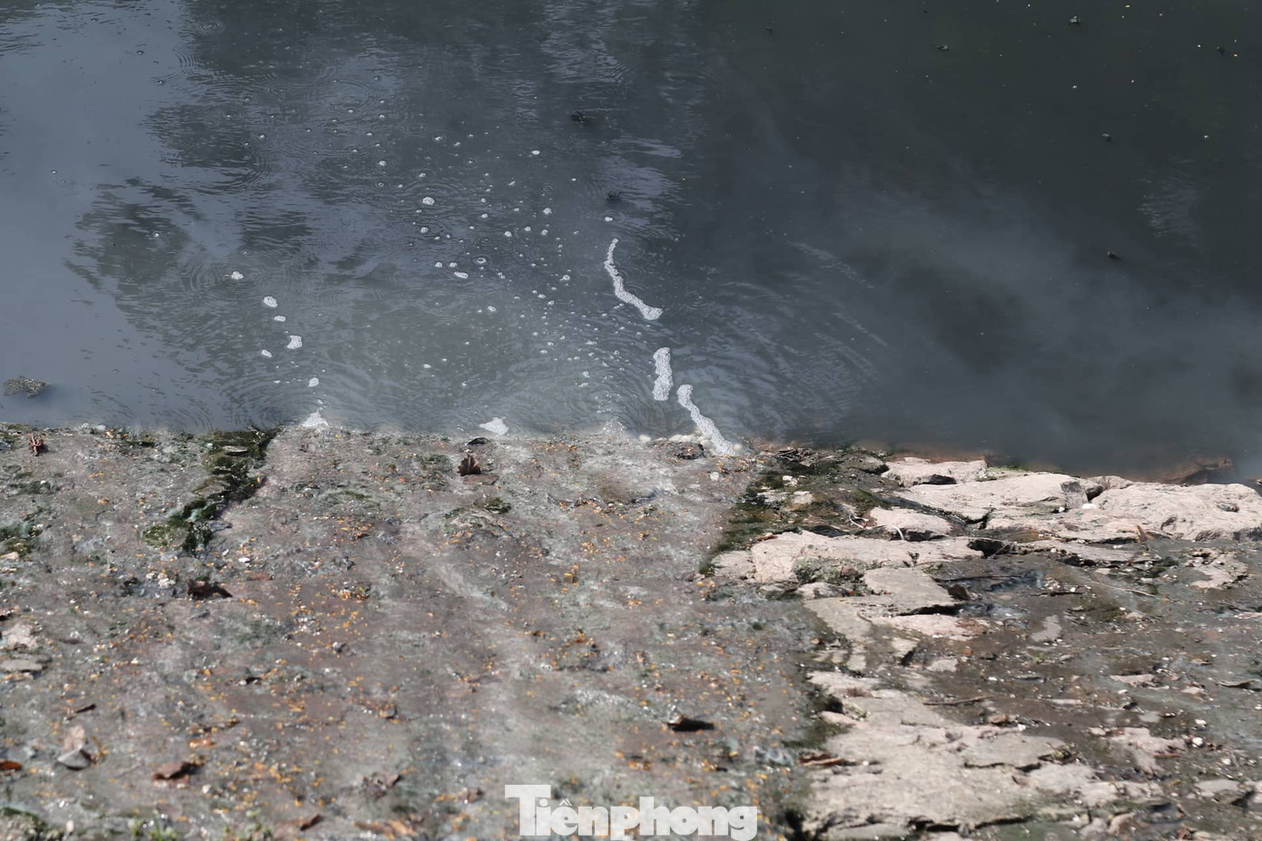 Vì sao bất ngờ tháo dỡ khu thí điểm làm sạch nước sông Tô Lịch? ảnh 6