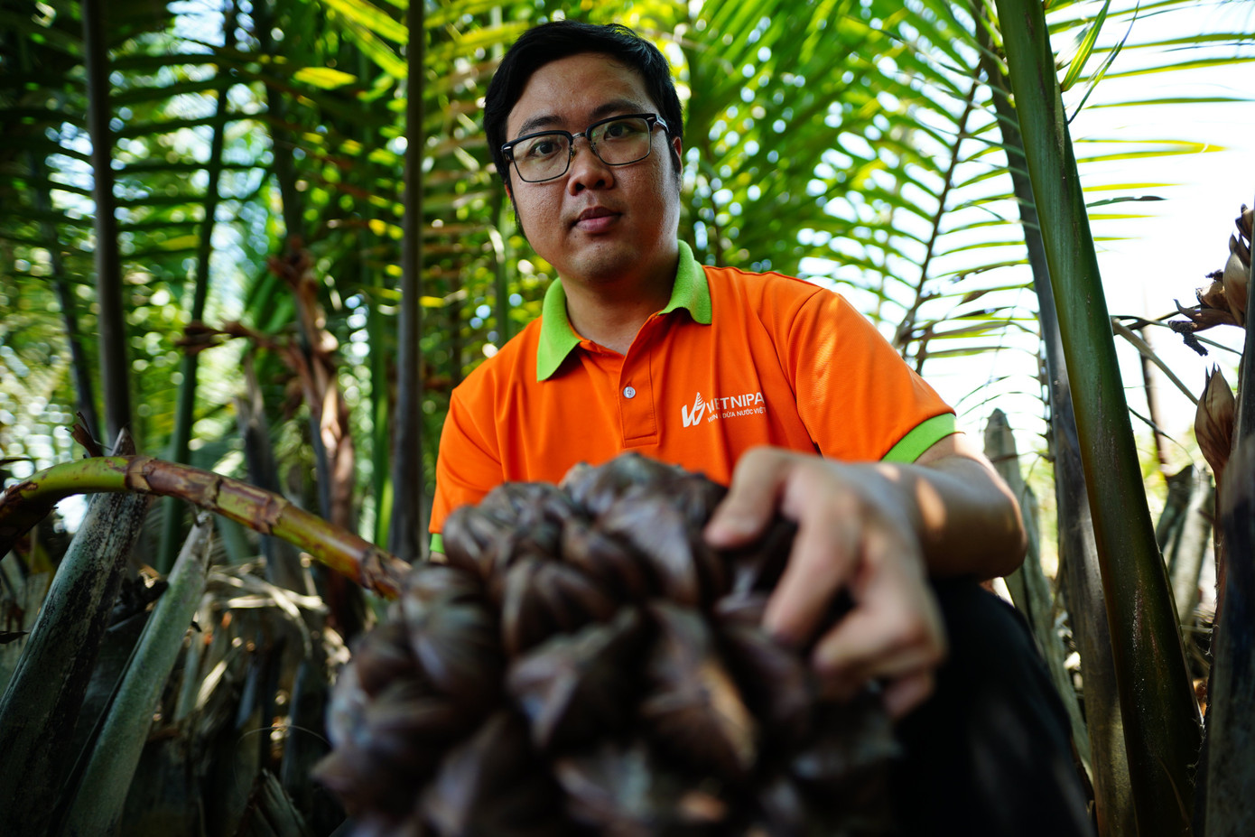 Chàng kỹ sư trẻ 'hoá phép' bắt cây dừa nước tiết ra mật ảnh 3