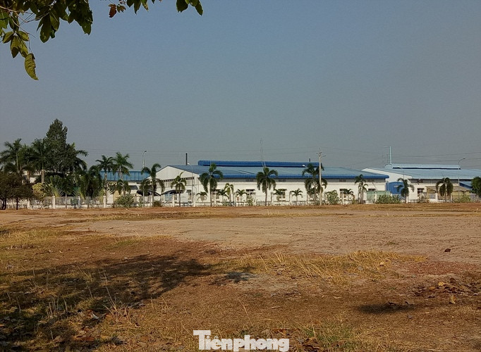 Cận cảnh khu công nghiệp ‘đắp chiếu’ 16 năm ở Bình Dương ảnh 4