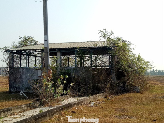 Cận cảnh khu công nghiệp ‘đắp chiếu’ 16 năm ở Bình Dương ảnh 12