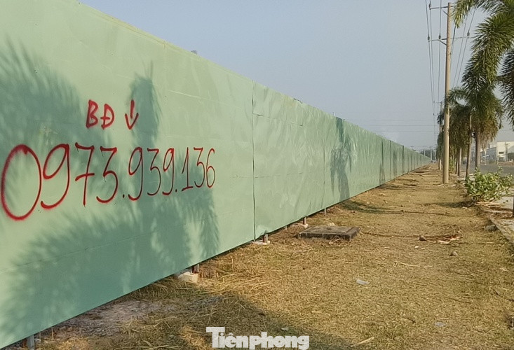 Cận cảnh khu công nghiệp ‘đắp chiếu’ 16 năm ở Bình Dương ảnh 11