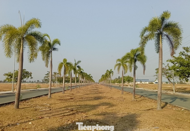 Cận cảnh khu công nghiệp ‘đắp chiếu’ 16 năm ở Bình Dương ảnh 6