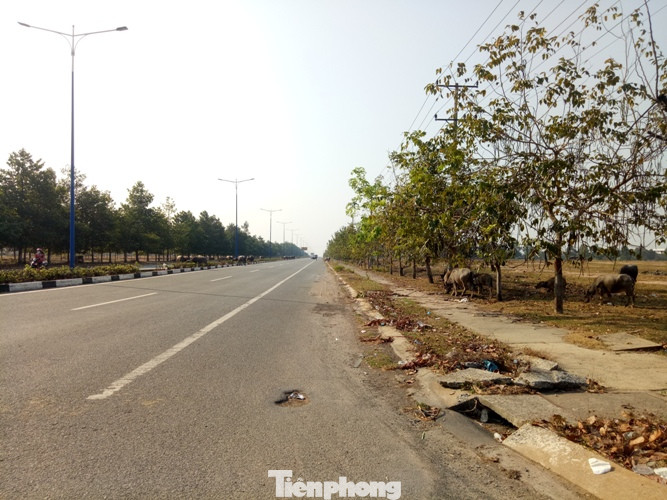 Cận cảnh khu công nghiệp ‘đắp chiếu’ 16 năm ở Bình Dương ảnh 5