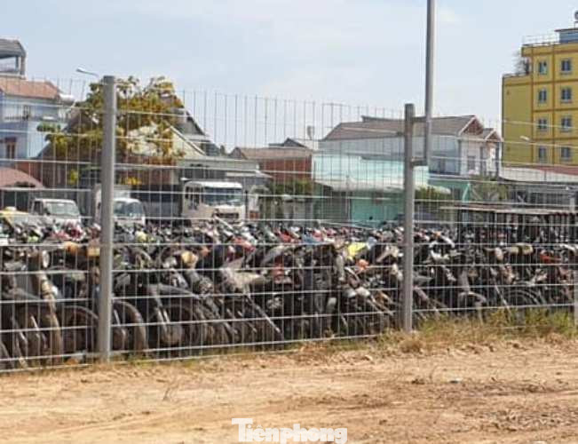 Đưa hơn 500 xe máy ‘phơi nắng’ nhiều năm đi tiêu hủy ảnh 2