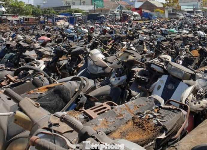 Đưa hơn 500 xe máy ‘phơi nắng’ nhiều năm đi tiêu hủy ảnh 1