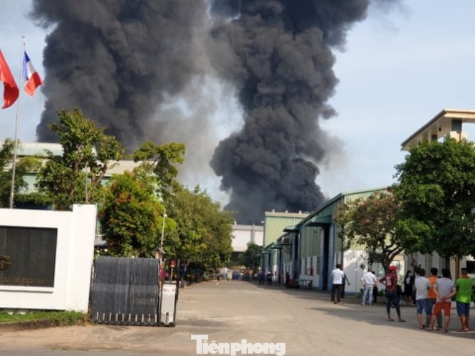 'Bà hỏa' thiêu rụi công ty sản xuất nệm mút ở Bình Dương ảnh 4