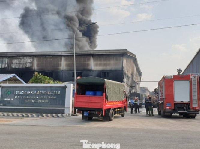 'Bà hỏa' thiêu rụi công ty sản xuất nệm mút ở Bình Dương ảnh 5