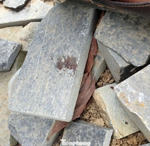 Nam thiếu niên chết bất thường tại hồ nuôi cá ảnh 2