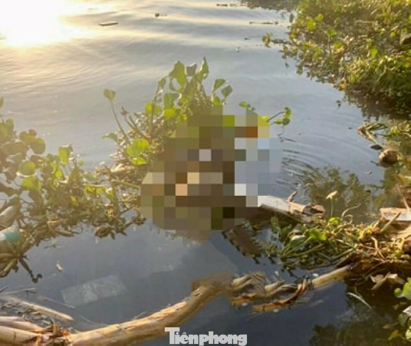 Phát hiện thi thể trôi trên sông lúc đánh cá ảnh 1