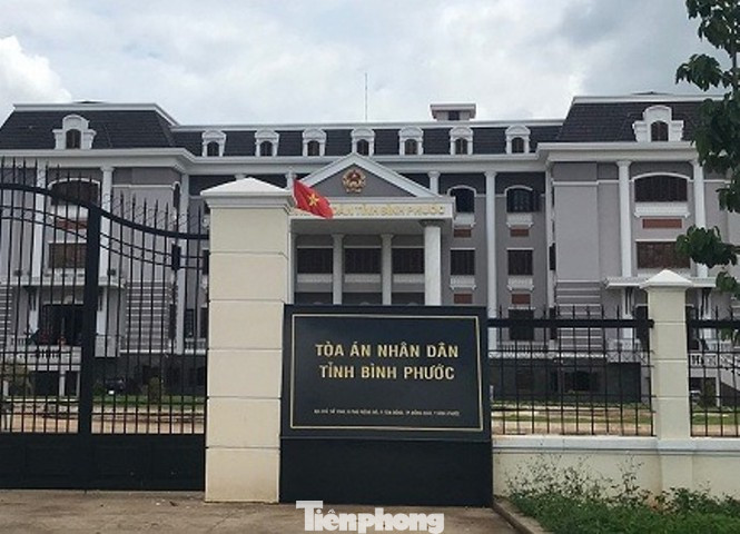 Vụ bị cáo uống thuốc tự tử tại tòa: Ra quyết định thi hành án tù giam ảnh 2