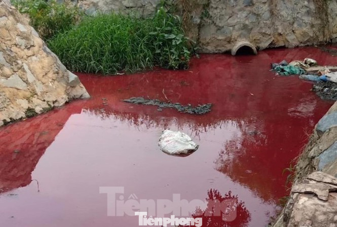Bình Dương xử lý thủ phạm khiến nước suối đỏ tươi, sủi bọt trắng ảnh 1