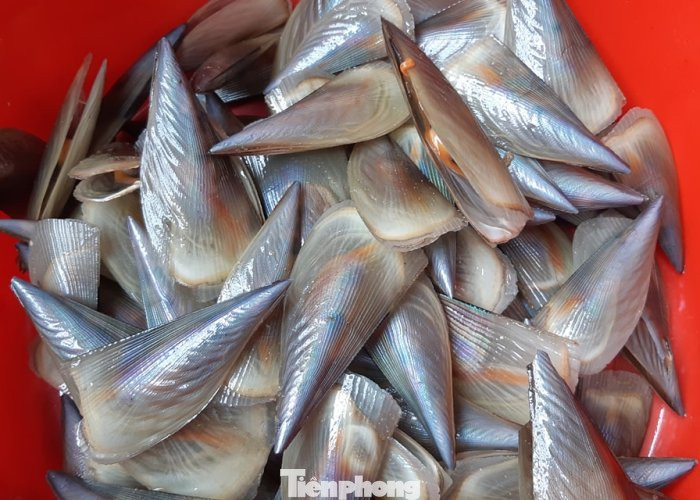 Người dân Quảng Bình nhận 'lộc trời' chưa từng thấy sau cơn bão đi qua ảnh 4