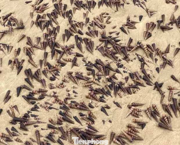 Người dân Quảng Bình nhận 'lộc trời' chưa từng thấy sau cơn bão đi qua ảnh 3