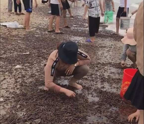 Yên Bái nói về quy trình bầu Bí thư Tỉnh uỷ khoá mới ảnh 2 Yên Bái nói về quy trình bầu Bí thư Tỉnh uỷ khoá mới ảnh 2