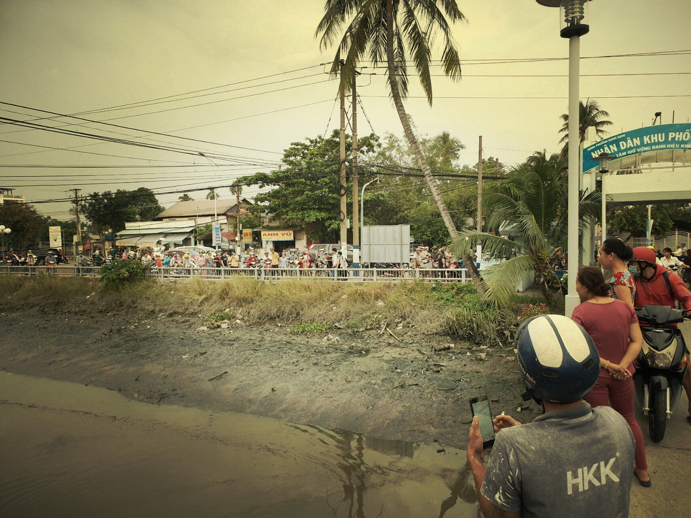 Thông tin cá sấu xuất hiện trên sông Sài Gòn là không có thật ảnh 1