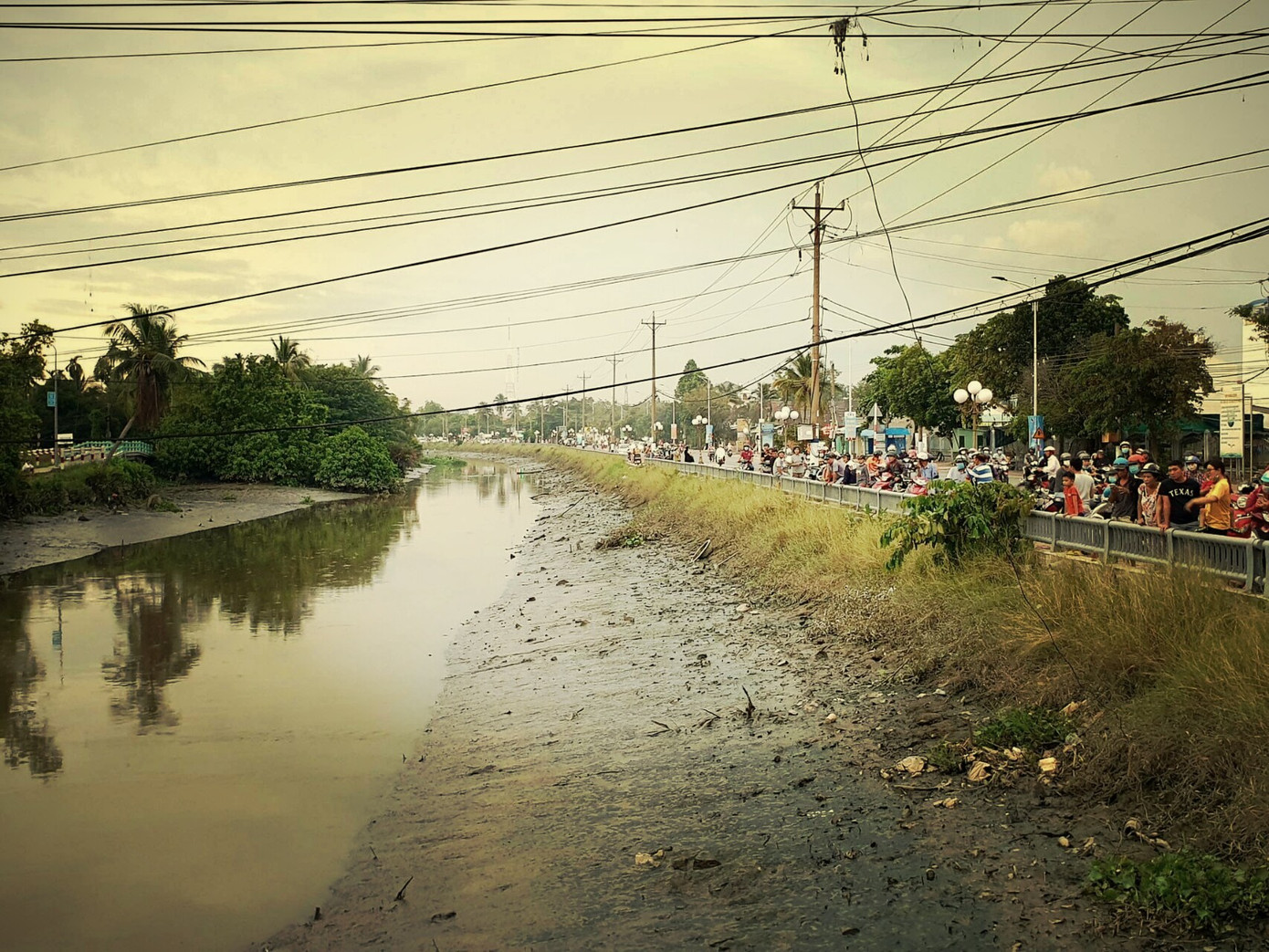 Thông tin cá sấu xuất hiện trên sông Sài Gòn là không có thật ảnh 2