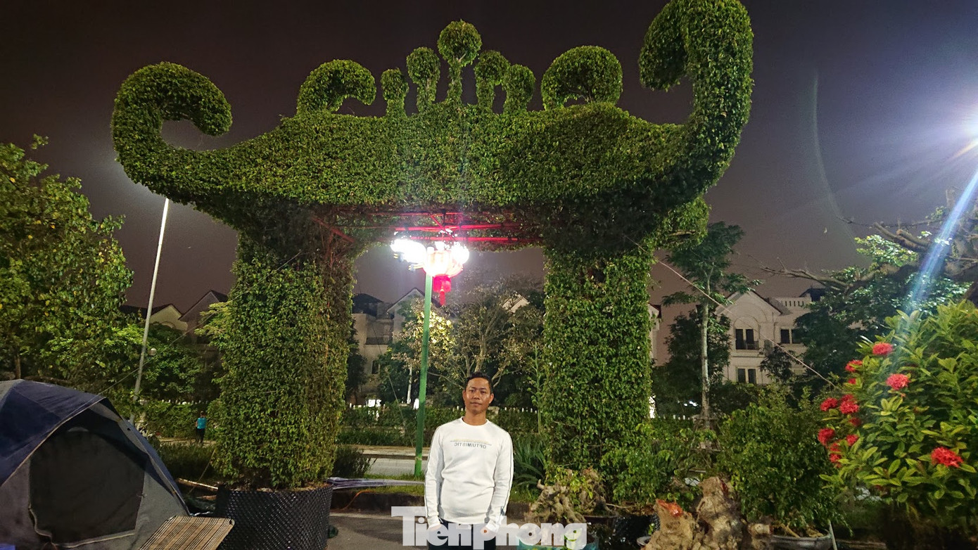 Mãn nhãn với cổng bằng cây đồ sộ 30 năm tuổi tại hội chợ sinh vật cảnh ảnh 4