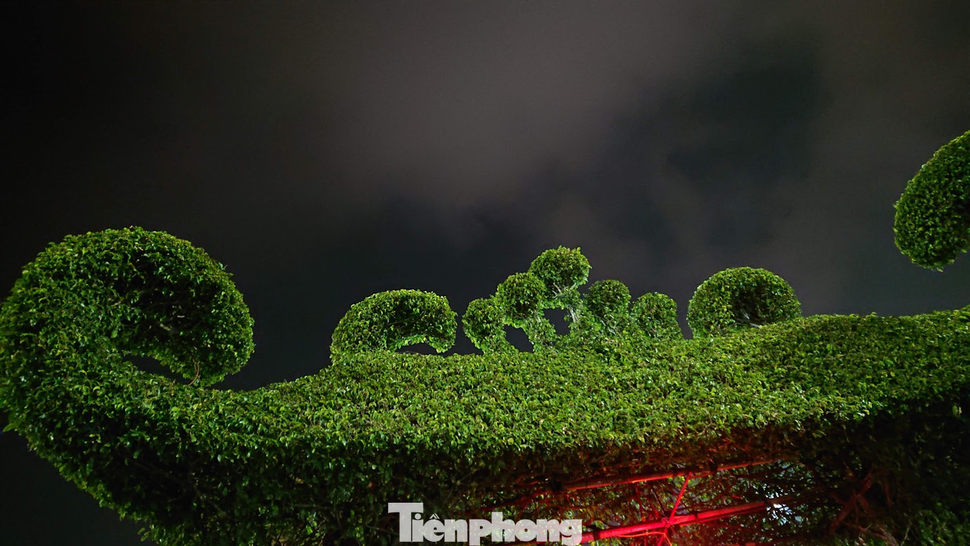 Mãn nhãn với cổng bằng cây đồ sộ 30 năm tuổi tại hội chợ sinh vật cảnh ảnh 3