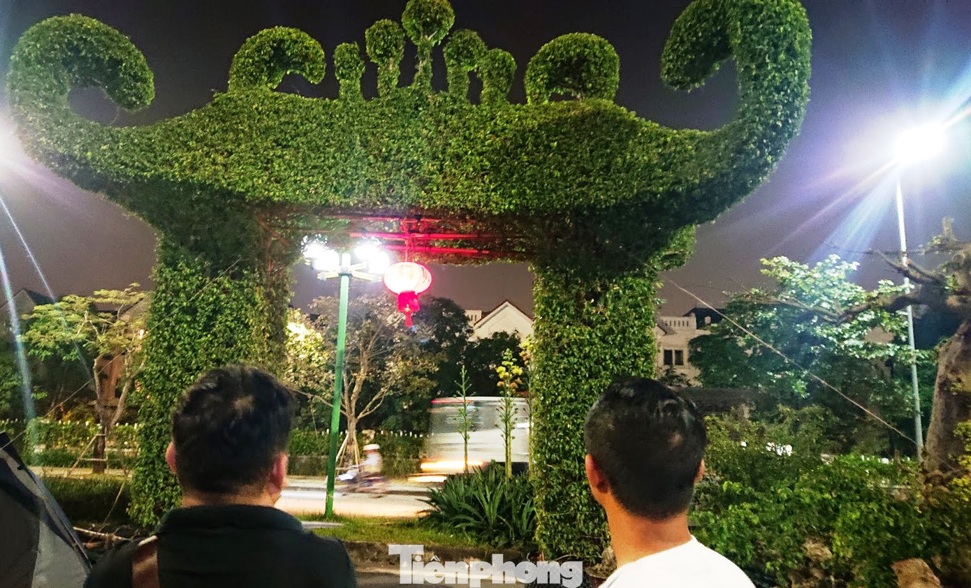 Mãn nhãn với cổng bằng cây đồ sộ 30 năm tuổi tại hội chợ sinh vật cảnh ảnh 2