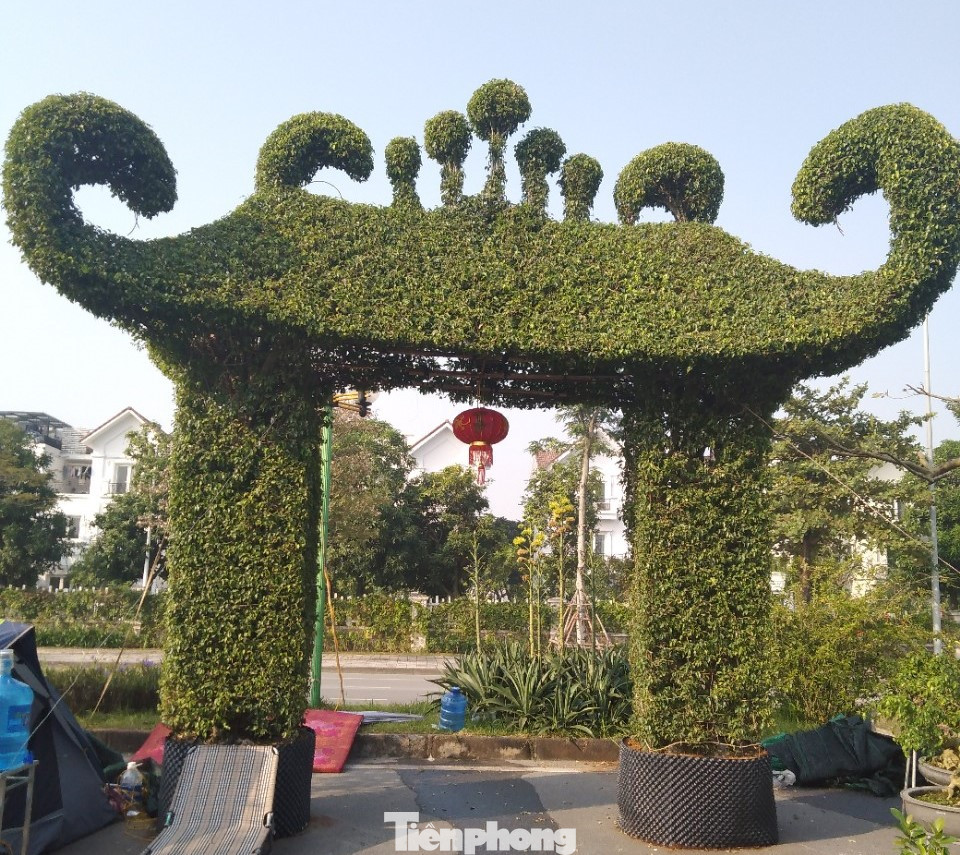 Mãn nhãn với cổng bằng cây đồ sộ 30 năm tuổi tại hội chợ sinh vật cảnh ảnh 1