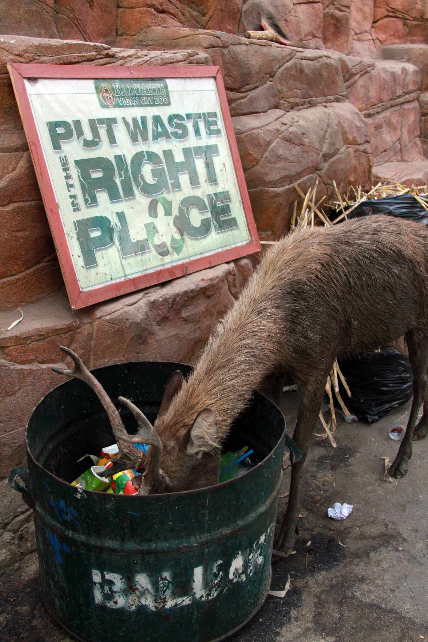 Covid-19: Hệ lụy và... hy vọng ảnh 2