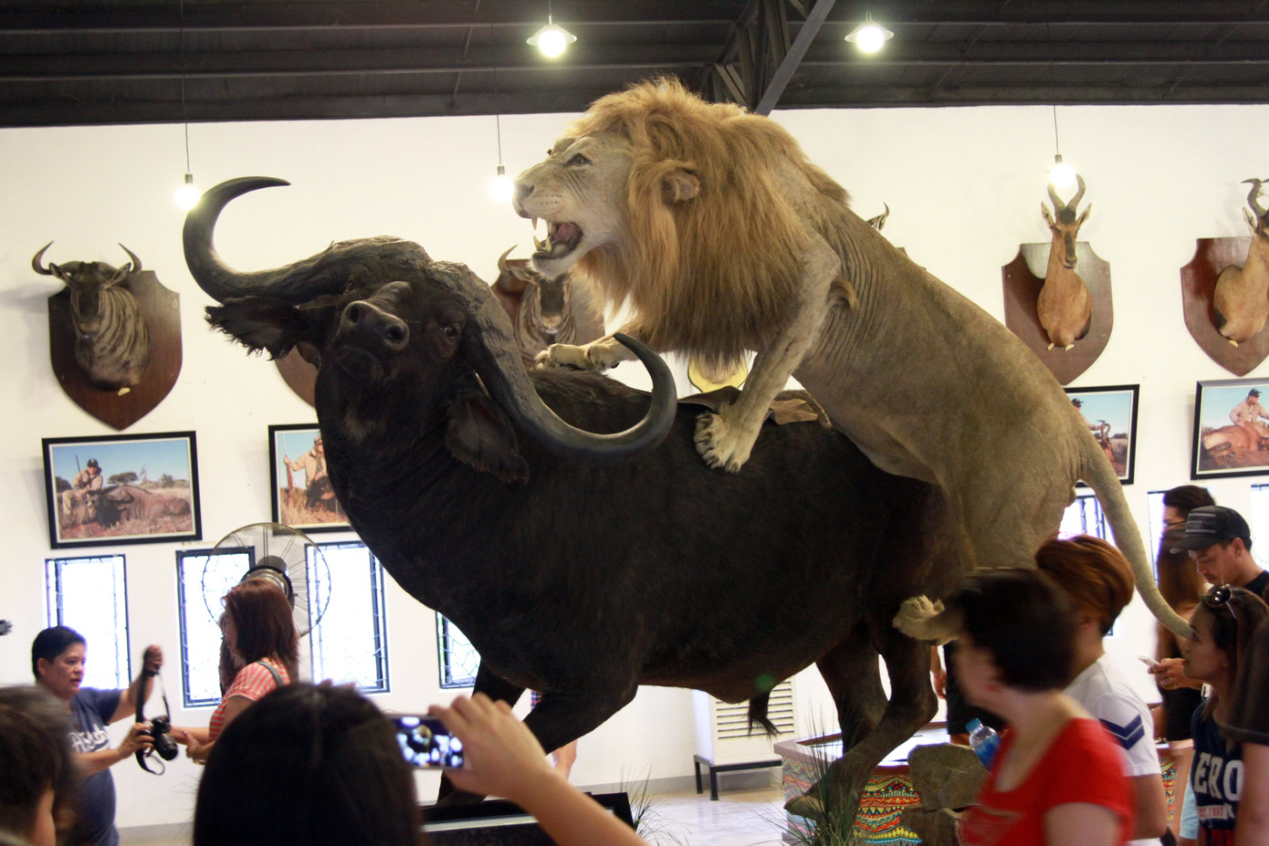 Covid-19: Hệ lụy và... hy vọng ảnh 3