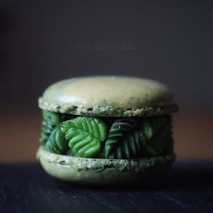 Những chiếc bánh Macaron siêu sang chảnh, đẹp đến mức không ai nỡ ăn ảnh 5