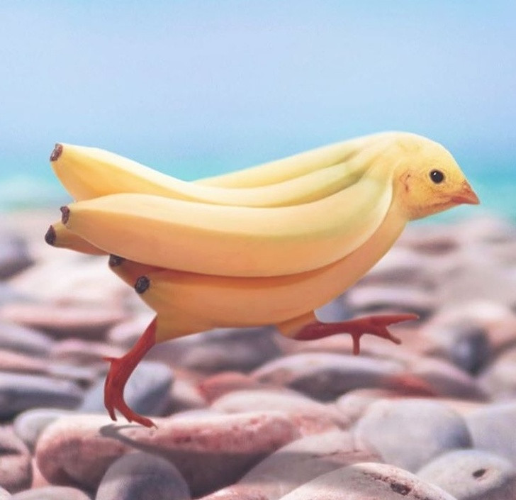 Những bức ảnh khiến bạn phải thán phục về trí tưởng tượng của người nghệ sĩ ảnh 5