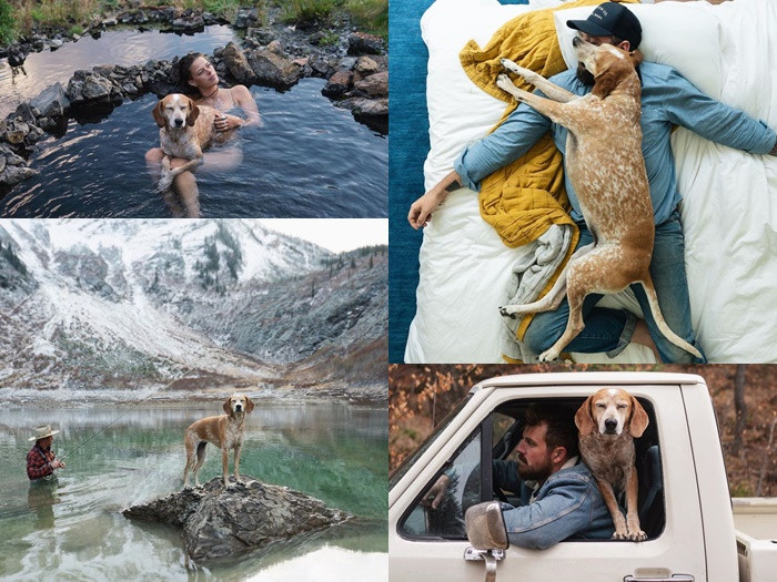 Cuồng chân vì ngồi nhà thì chớ, ngắm loạt ảnh check-in của “boss” càng thêm GATO ảnh 8