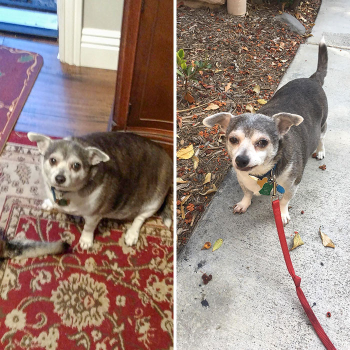 Khi đại boss “ăn kiêng” cũng lột xác ngoạn mục không đùa được đâu! ảnh 2