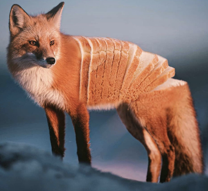 Những bức ảnh khiến bạn phải thán phục về trí tưởng tượng của người nghệ sĩ ảnh 7