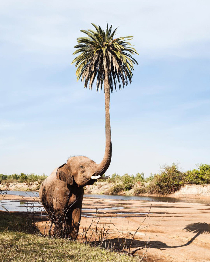 Những bức ảnh minh chứng cho “nghệ thuật là ánh trăng lừa dối“ ảnh 3