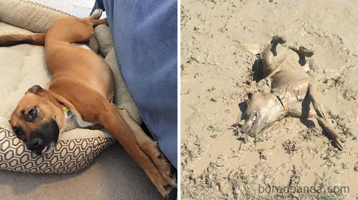 Nhất quỷ nhì ma thứ ba học trò, vậy thứ tư chắc chắn là "đại boss" rồi! ảnh 8