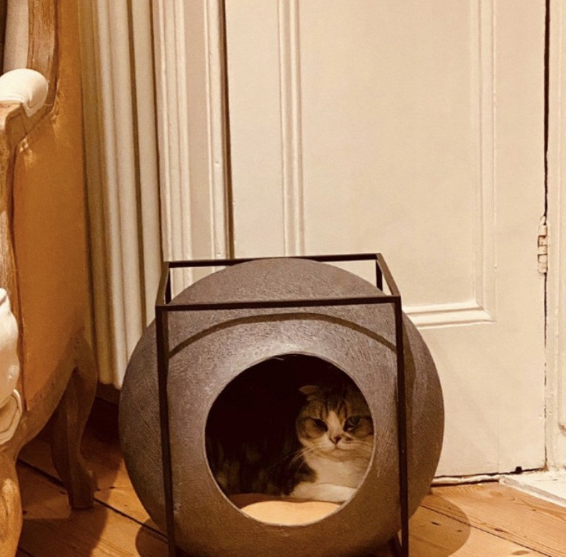 Khi “đại boss” cùng hưởng ứng lời kêu gọi “ở nhà mùa dịch“ ảnh 9