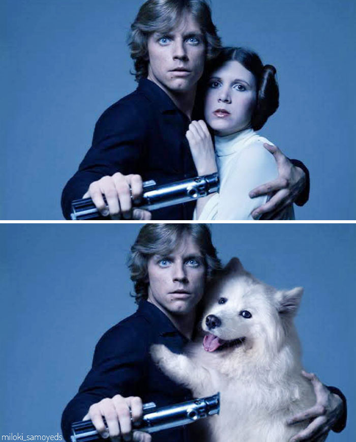 Dàn cast chính của loạt phim đình đám bị soán ngôi, “kẻ đóng thế” cưng không chịu nổi! ảnh 3