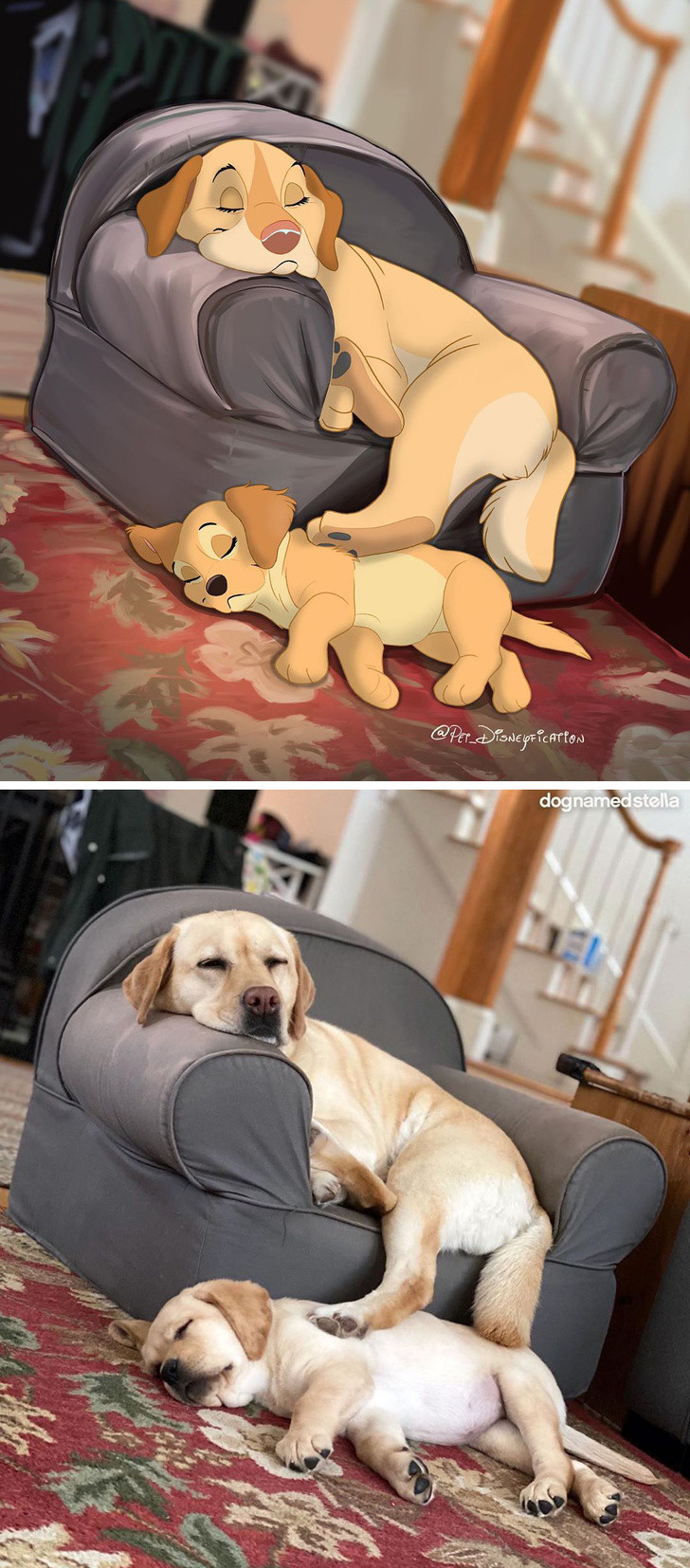 Chỉ fan Disney mới làm được điều này: Đưa thú cưng đời thực bước vào thế giới hoạt hình ảnh 4