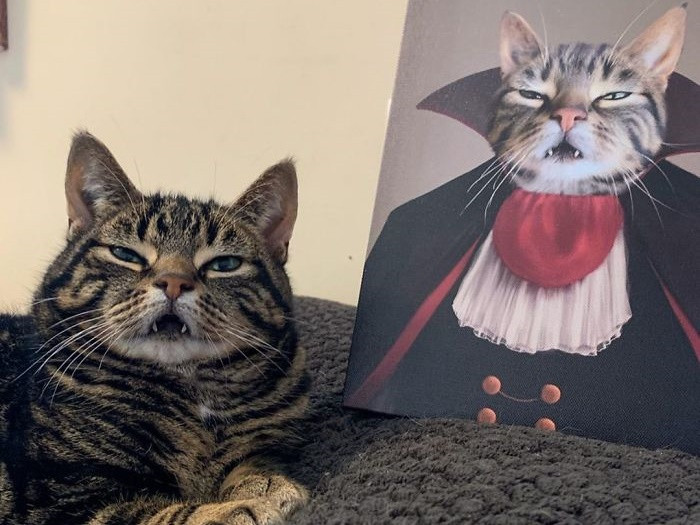 Đâu chỉ chúng ta mới cần “niềng răng", các "boss" này cũng muốn đi nha sĩ! ảnh 3